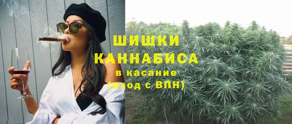 ГАЛЛЮЦИНОГЕННЫЕ ГРИБЫ Арсеньев