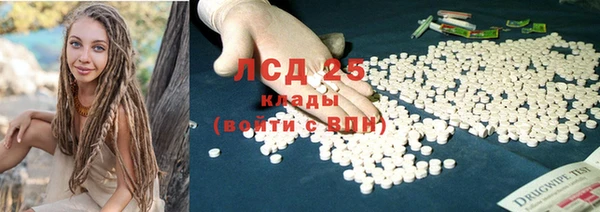 ГАЛЛЮЦИНОГЕННЫЕ ГРИБЫ Арсеньев