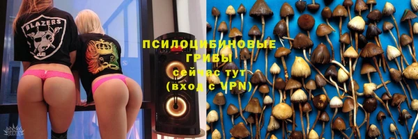 ECSTASY Армянск