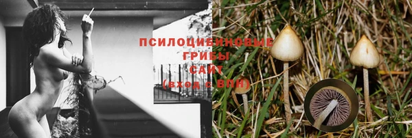 ГАЛЛЮЦИНОГЕННЫЕ ГРИБЫ Арсеньев