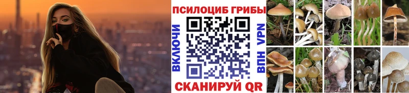 KRAKEN как зайти Уссурийск Галлюциногенные грибы мухоморы